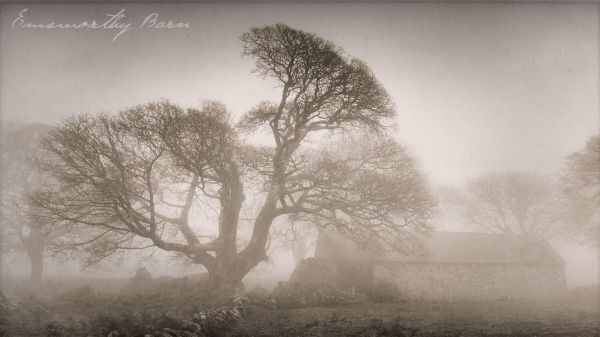 Historical Dartmoor Images Found