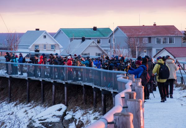 An Arctic Communion or a Fear Of Missing Out?